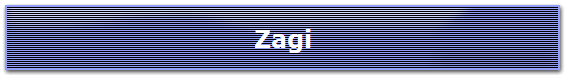 Zagi